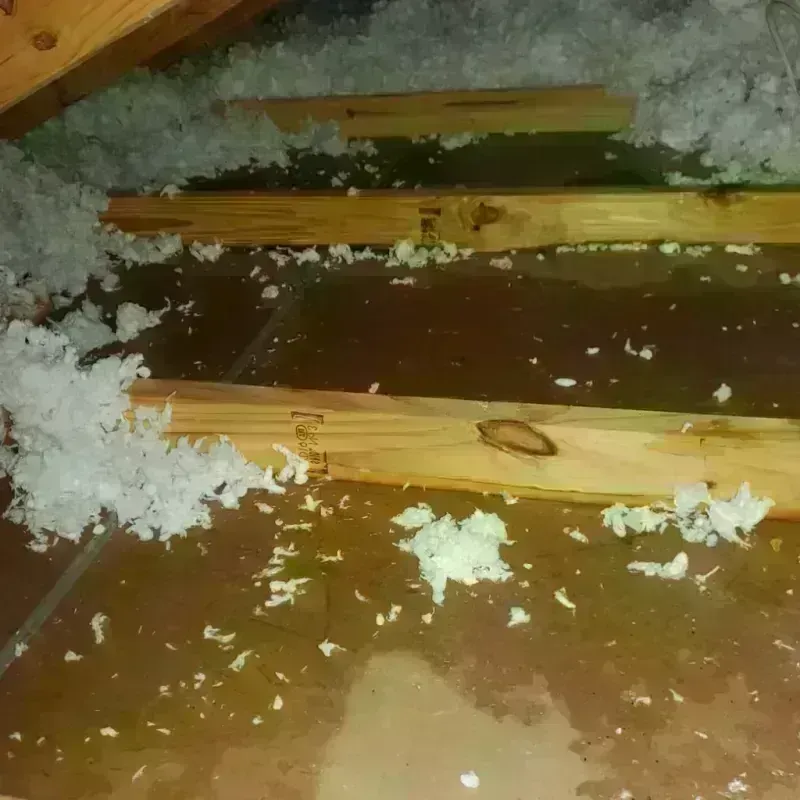 Attic Water Damage in Marysville, KS