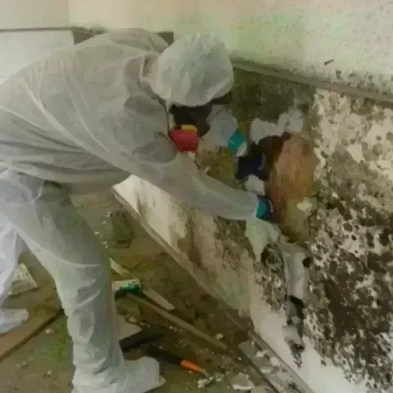 Mold Remediation and Removal in Marysville, KS